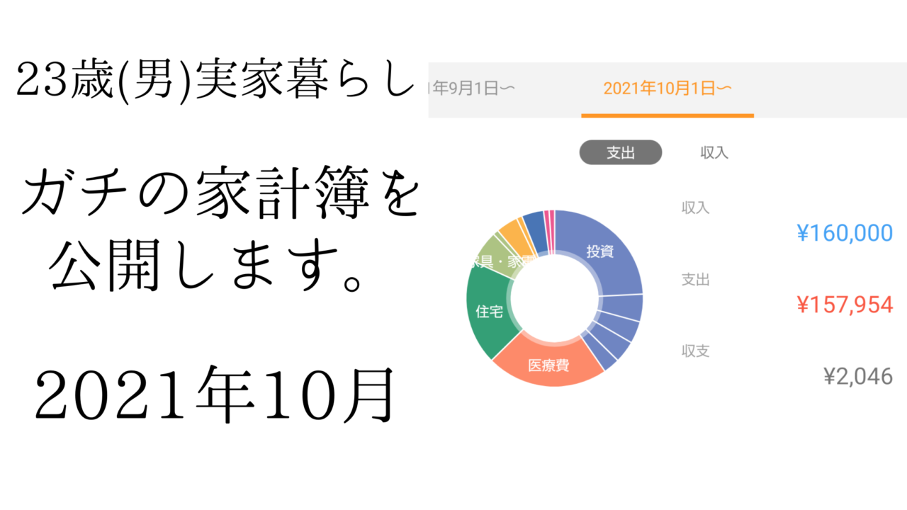 【10月】社会人2年目のガチ家計簿を公開します。※実家暮らしです