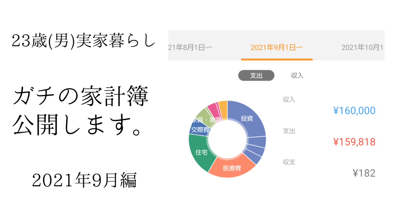 【9月分】社会人2年目の家計簿を完全公開します。※実家暮らしです